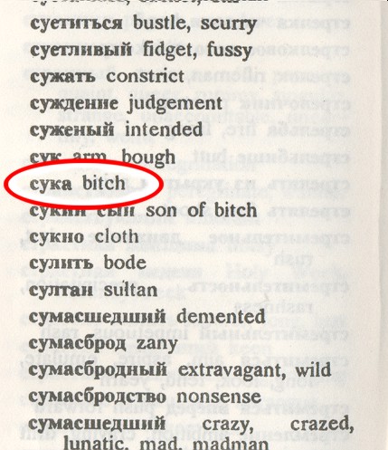 Dictionary